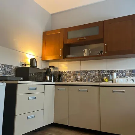 Apartamento Lesna Ostoja Rychwald