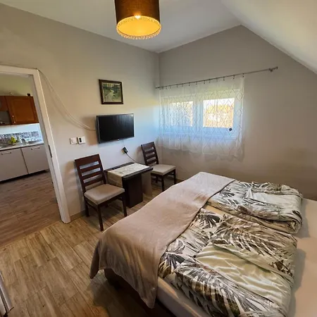 Lesna Ostoja Apartamento