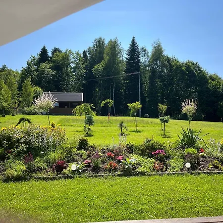 Lesna Ostoja Apartamento