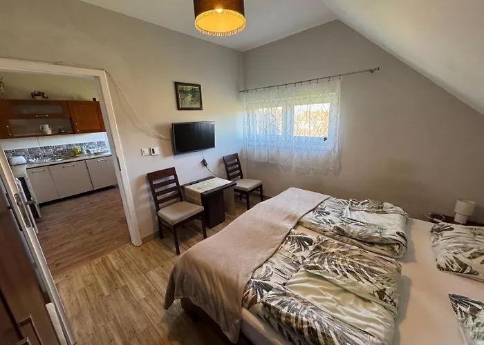 Lesna Ostoja Apartamento