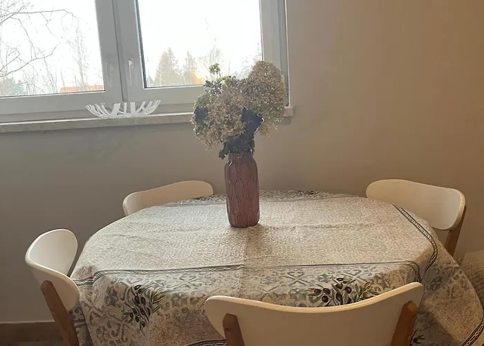 Lesna Ostoja Apartamento Rychwald