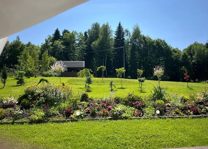 Lesna Ostoja Apartamento